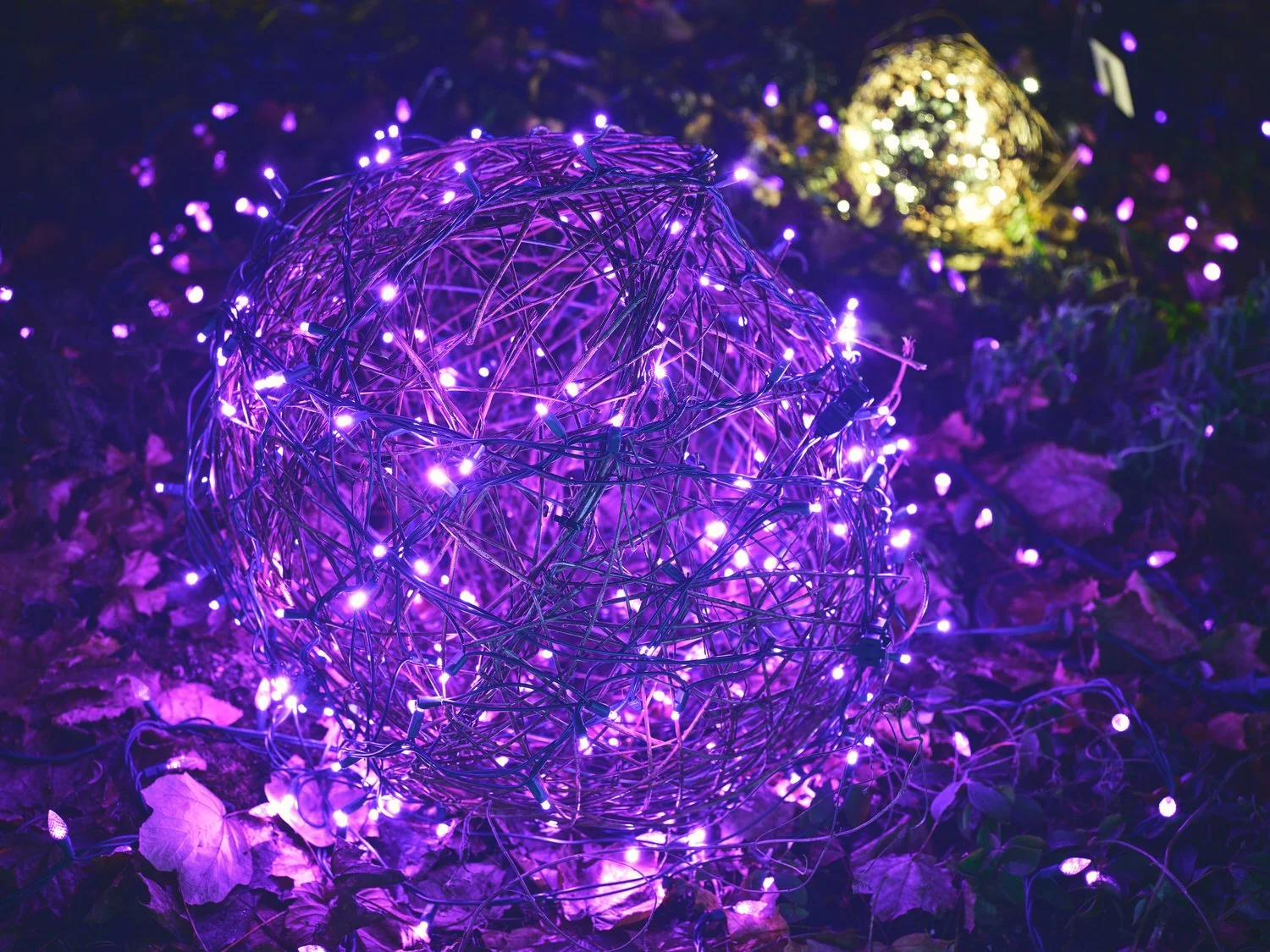Festival of Lights