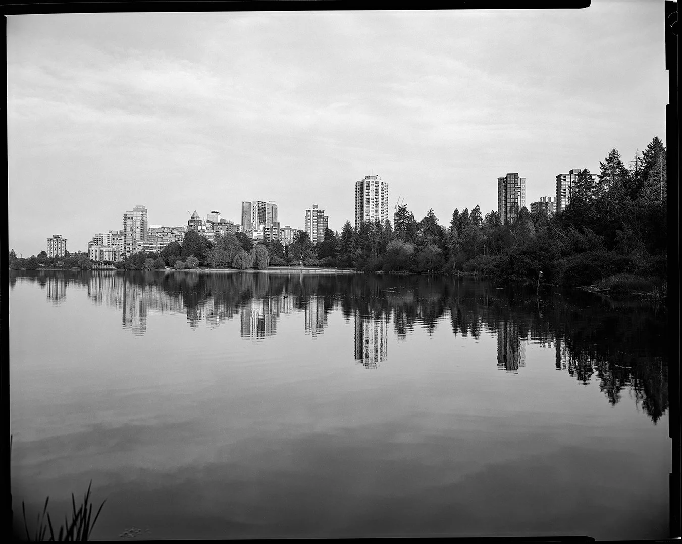 8×10 of the day. Lost Lagoon.