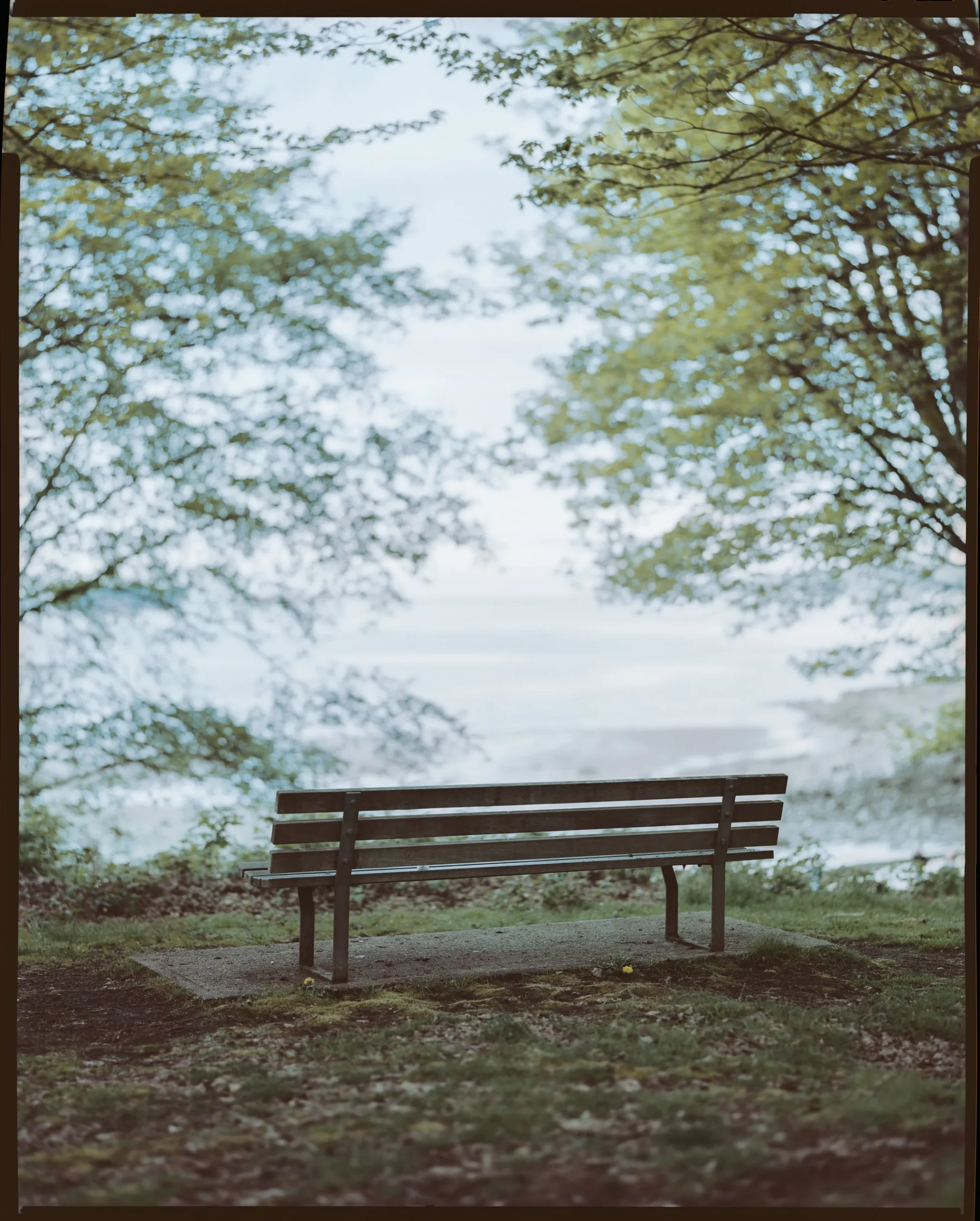 8×10 of the day. Mental Health