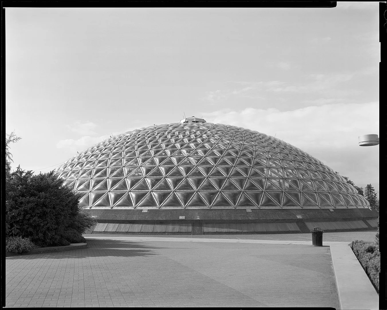 8×10 of the day. Bloedel Conservatory