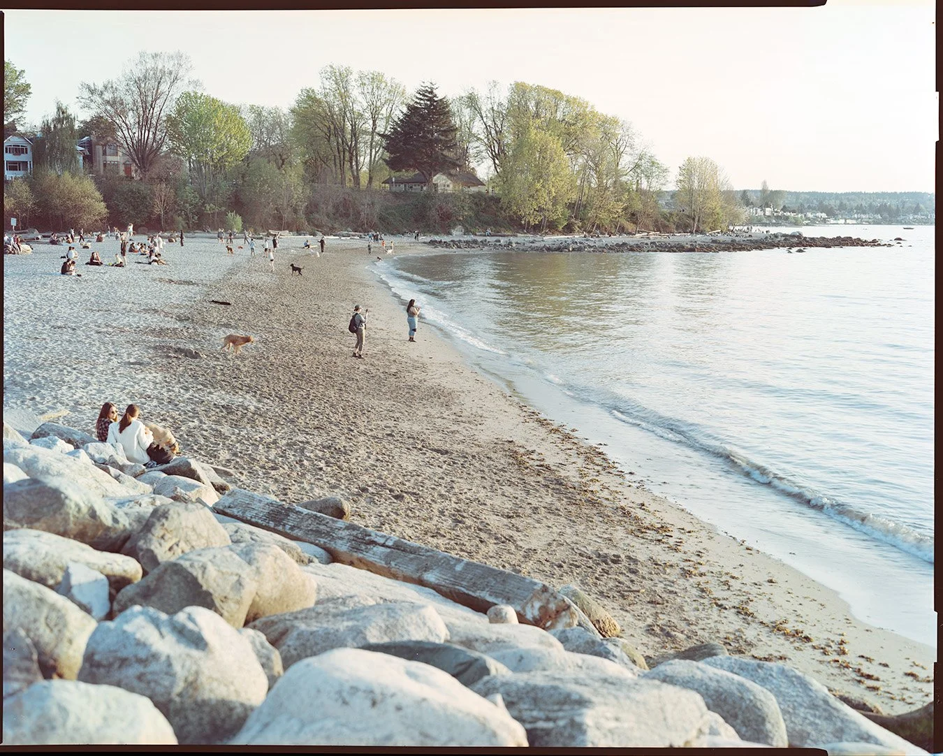 8×10 of the day. Kitsilano
