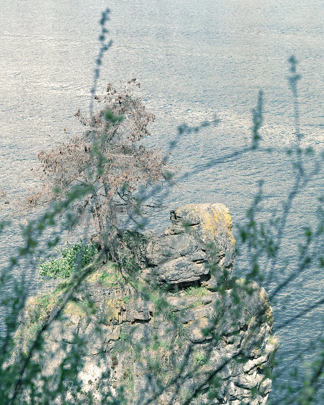 8×10 of the day. Siwash Rock (part 2)