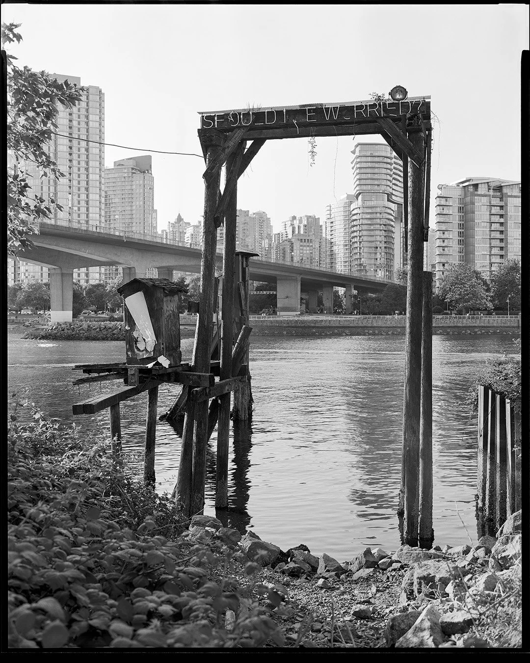 8×10 of the day. Should I Be Worried?