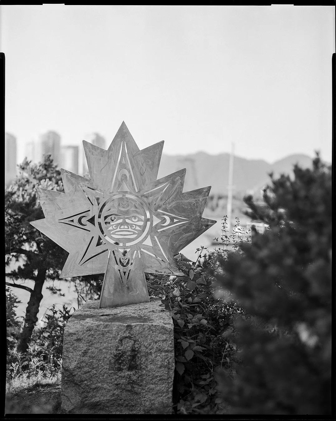 8×10 of the day. Salish North Star