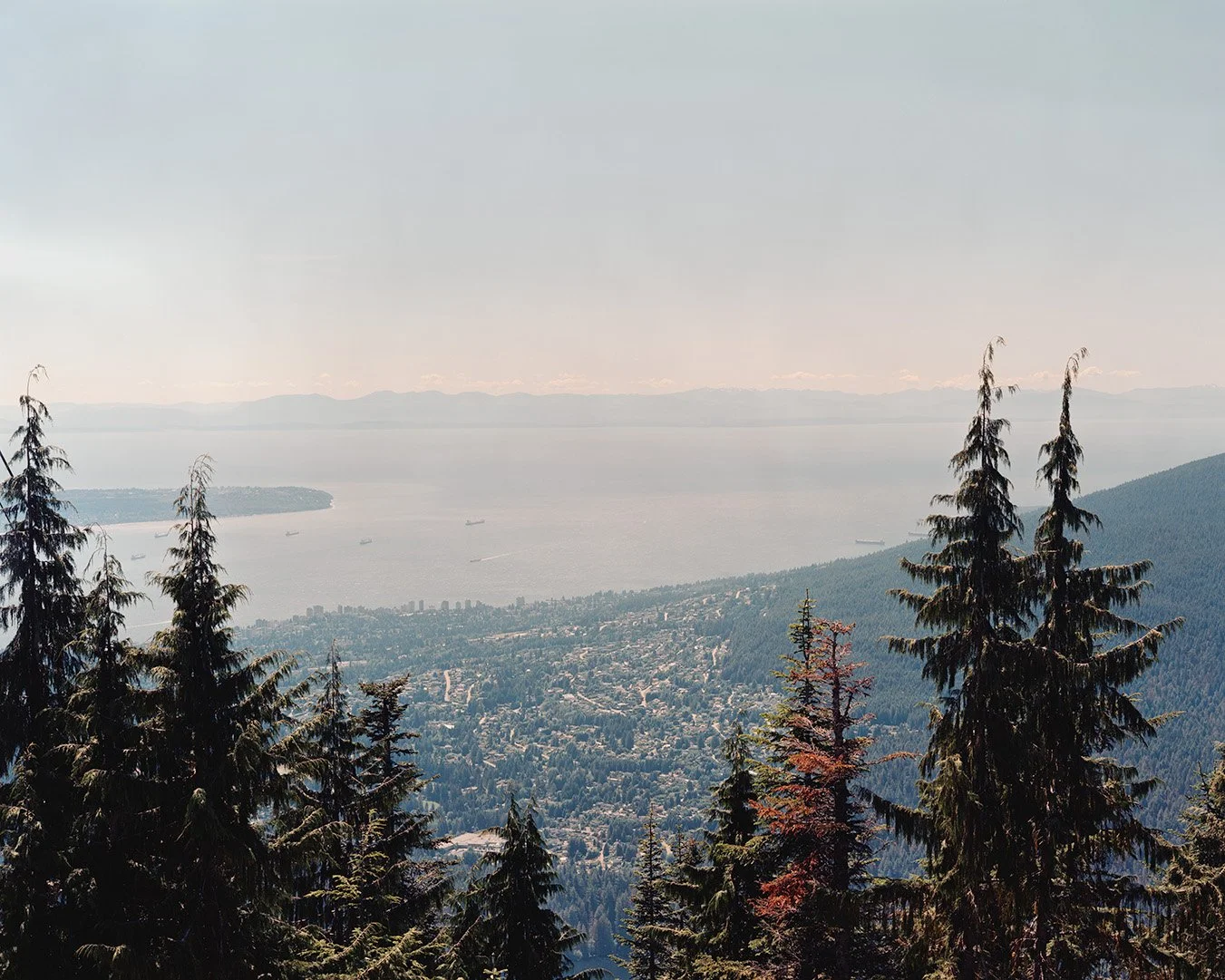 8×10 of the day. Grouse Mountain