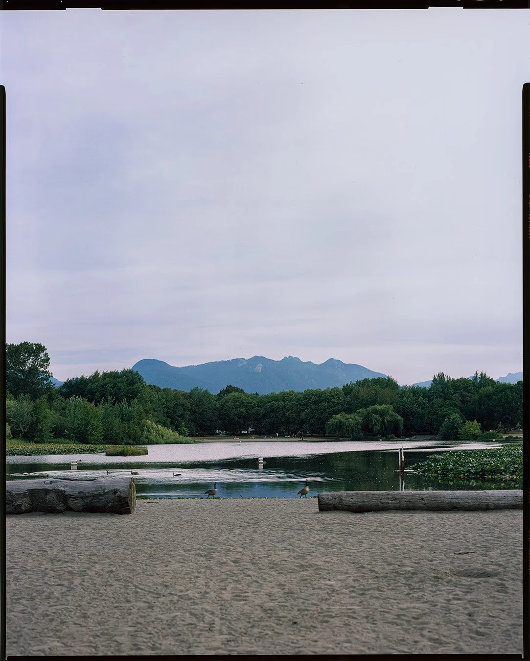 8×10 of the day. Testing film