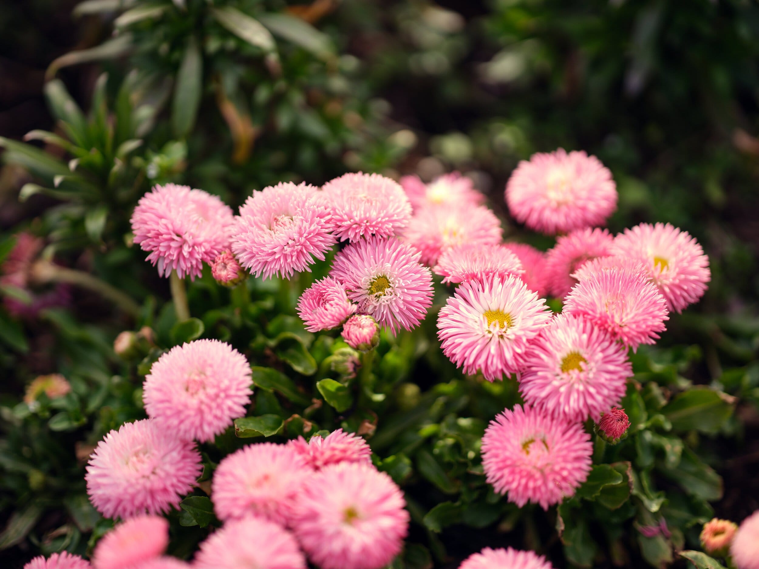Example frame from the Fujinon GF 80mm f1.7 R WR