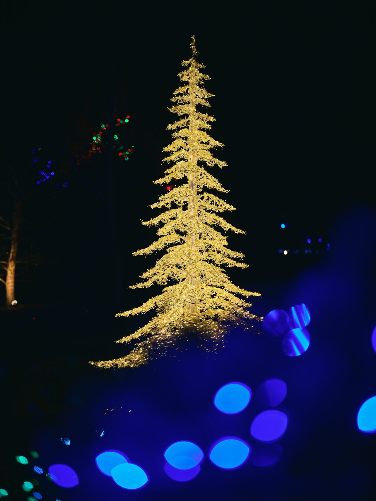 The Vancouver Festival of Lights fireworks display