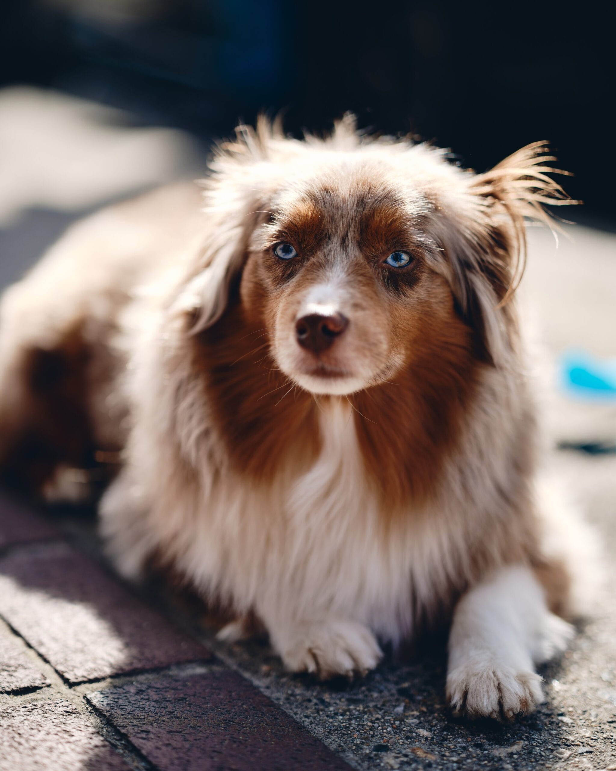 Sample photo taken with the Fujinon GF 80mm f1.7 lens on a Fujifilm GFX