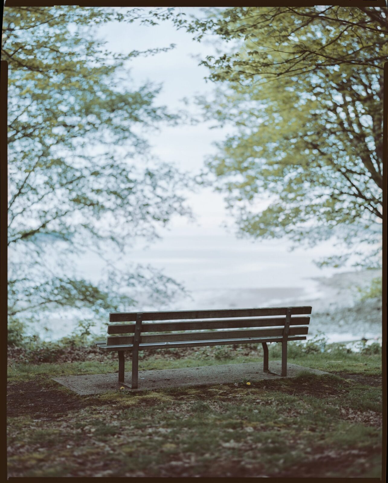 8x10 large format film photograph, Mental Health