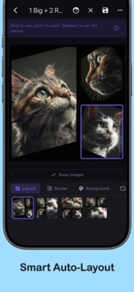 SplitLay collage editor on iPhone with a one big plus two right layout of cat photos and layout, border and background tabs